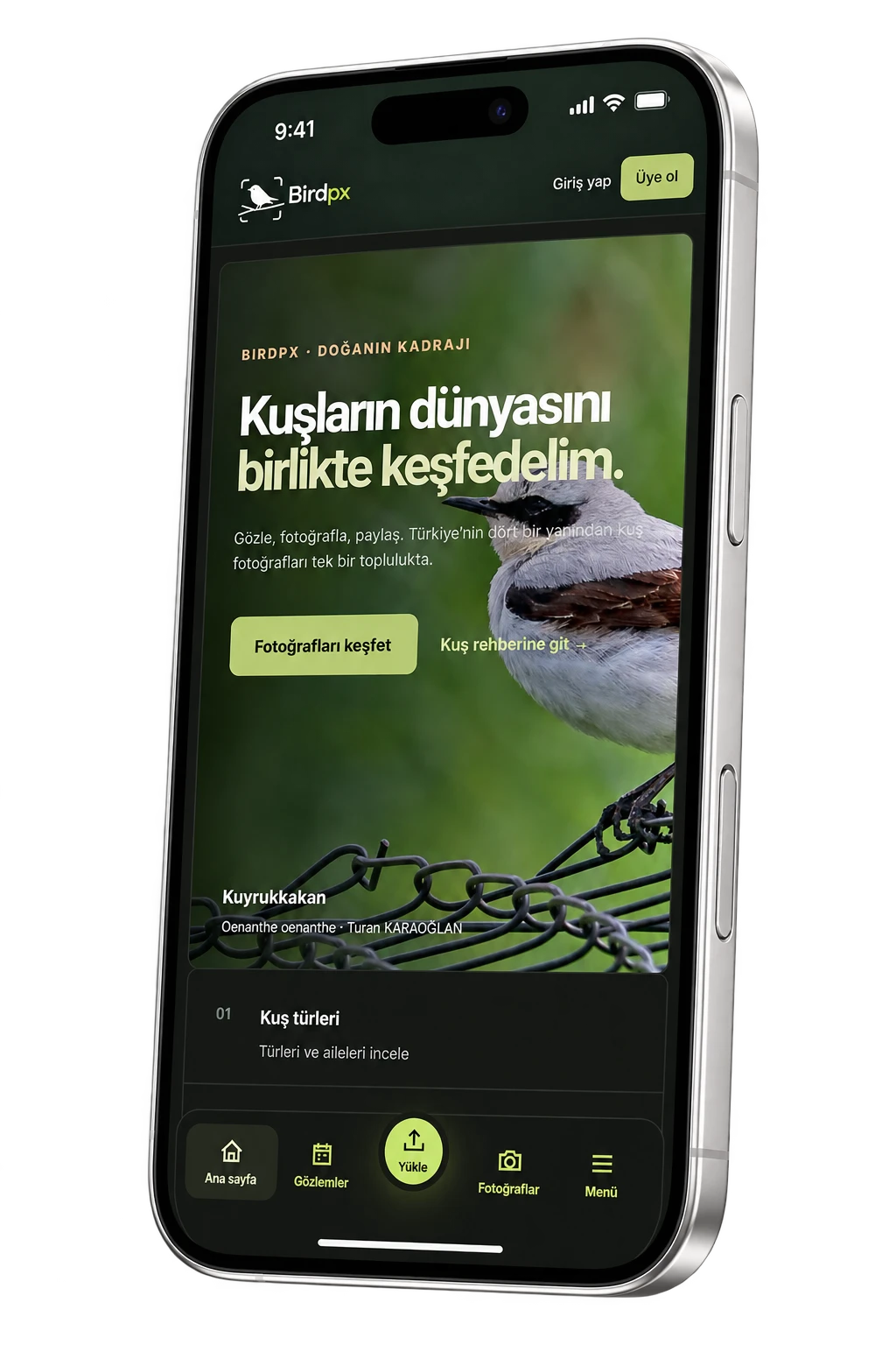 Çapraz duran iPhone 17 Pro Max ekranında Birdpx uygulaması