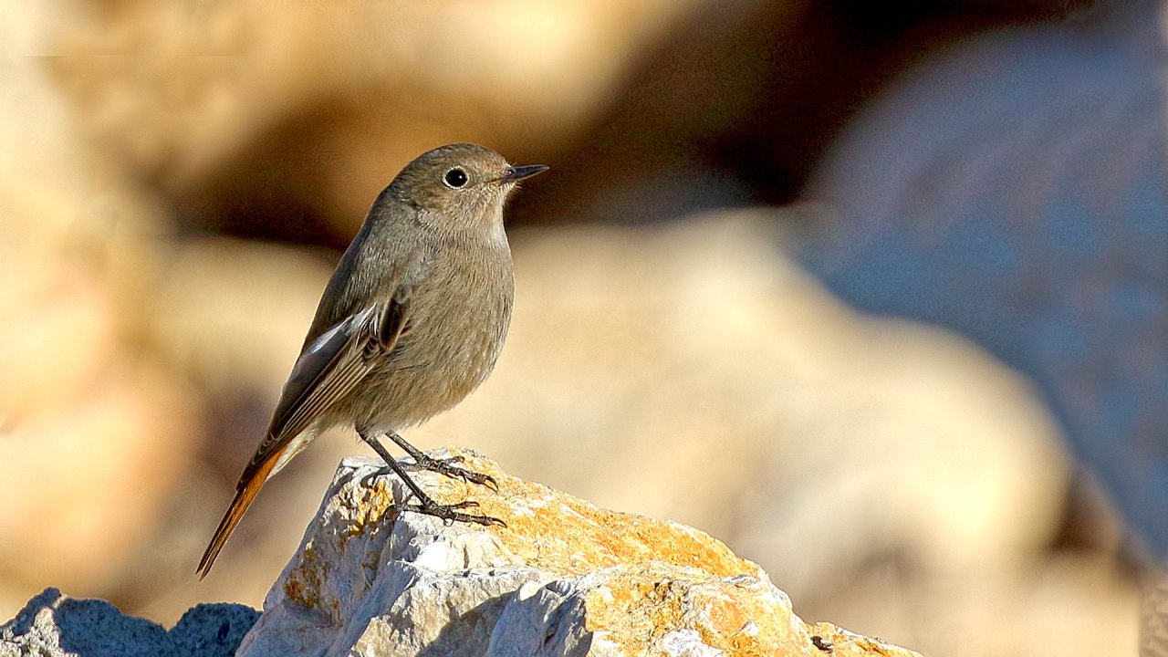 Arazi fotoğrafı