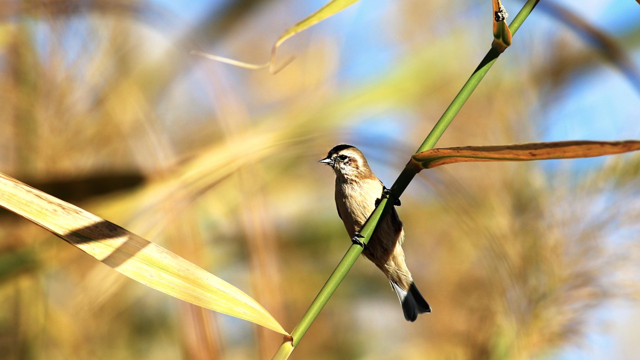 Arazi fotoğrafı