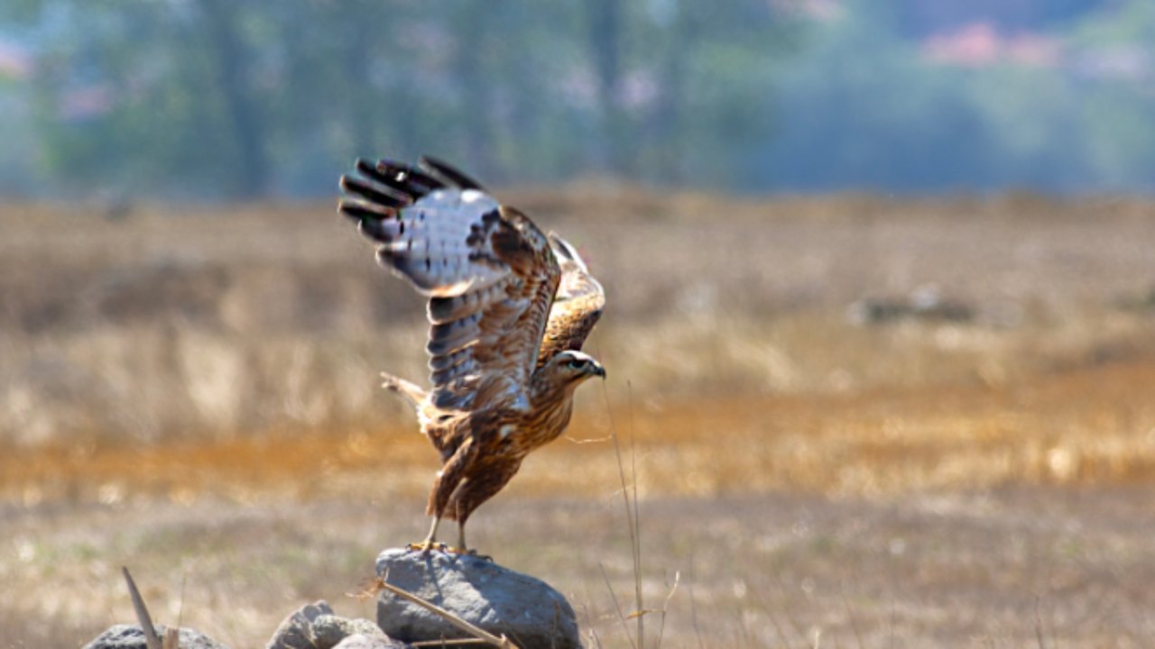 Arazi fotoğrafı
